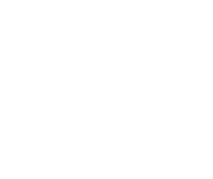 solo-female-vanlife-blog-passport-diary-white-logo