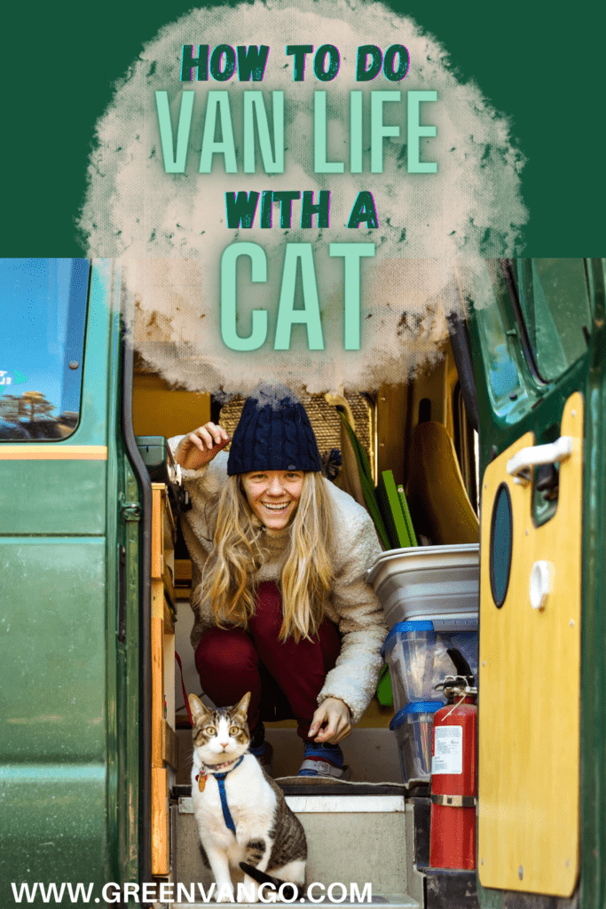 van life with cat pinterest 2