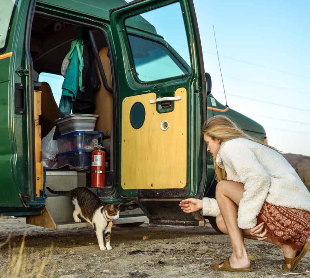 vanlife-with-a-cat-walking-out-of-van