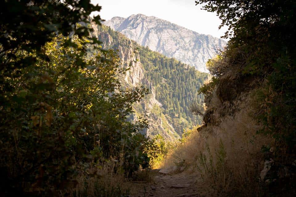 Top 3 Easy Millcreek Canyon Hikes Outdoorsy Nomad