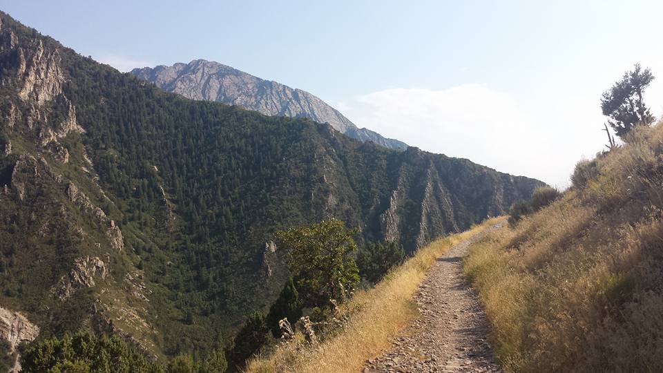 rattlesnake-gulch-millcreek-canyon-ut