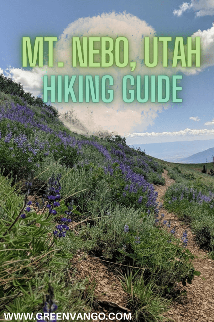 how to hike mt nebo utah pinterest