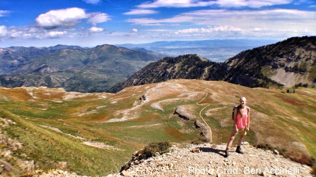 mt-timpanogos-meadow