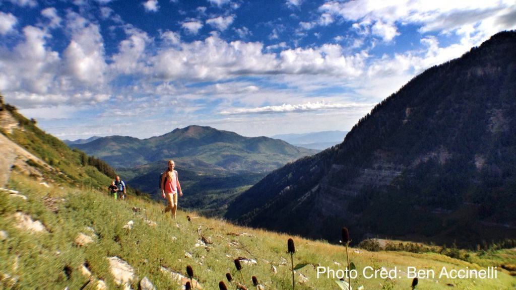 mt-timp-grassy-ridge