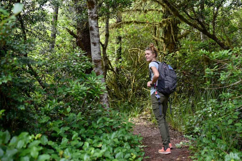 woman hiking in forest