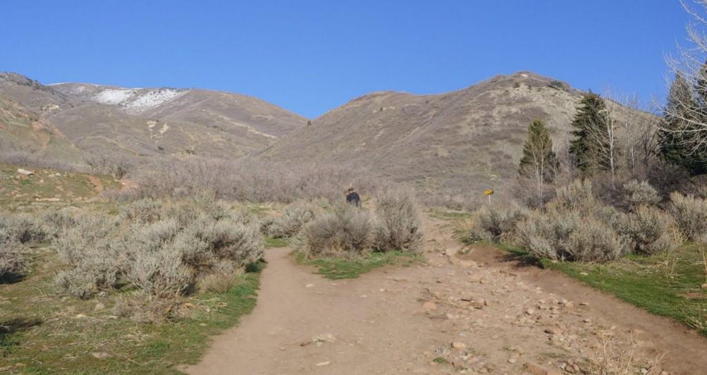 bonneville shoreline trails