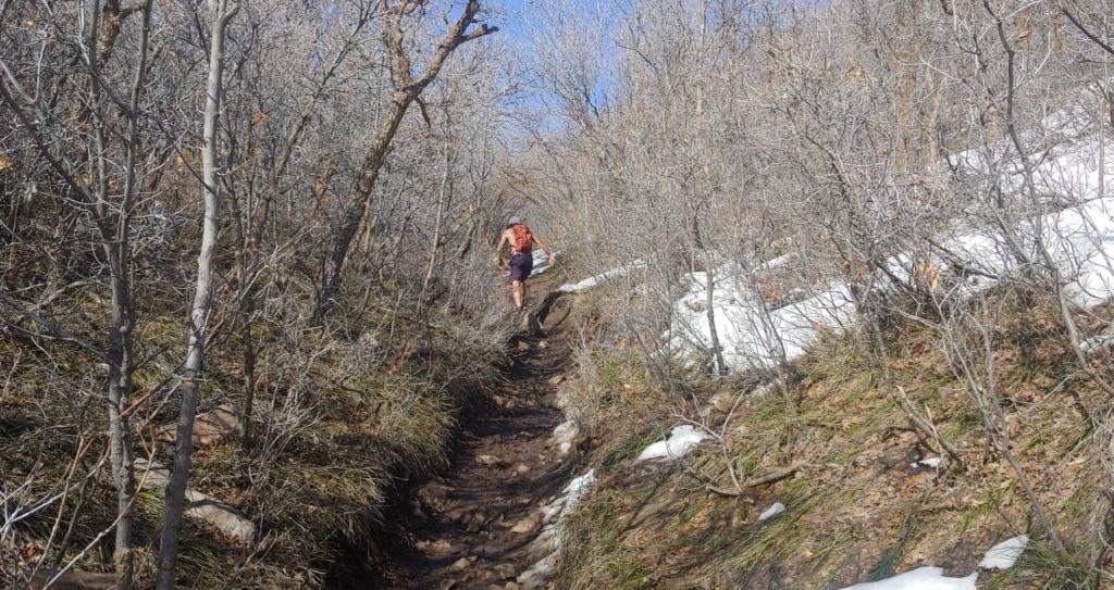 mt wire snowy trail march