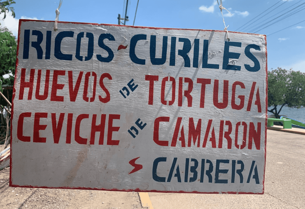 road-sign-in-spanish-driving-in-mexico