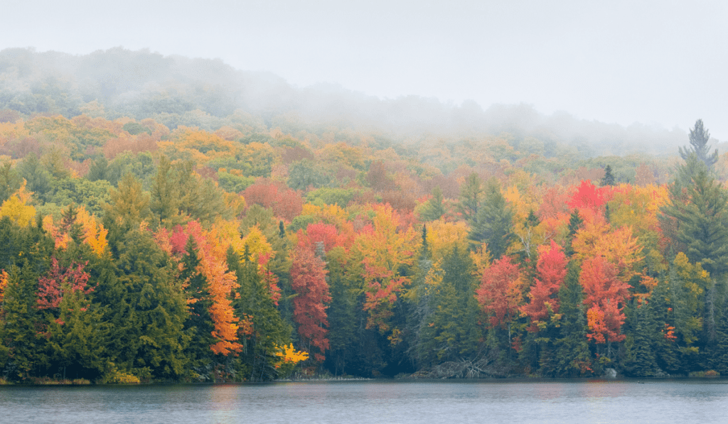 vanlife-roadtrip-in-fall-new-england-foliage