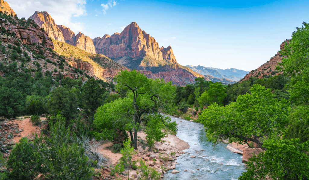 vanlife-roadtrip-in-spring-zion-national-park-utah