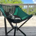 cat-in-cliq-chair