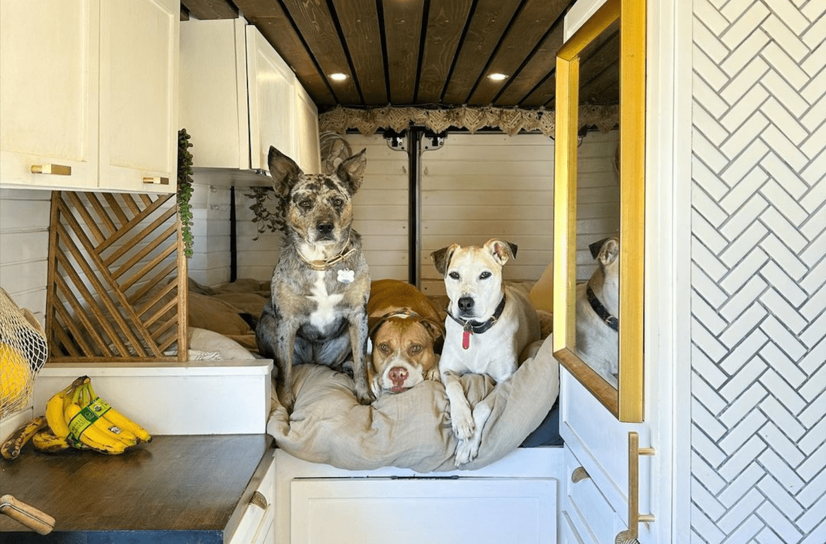 How 4 Full-Time Van Life Couples Make It Work on the Road