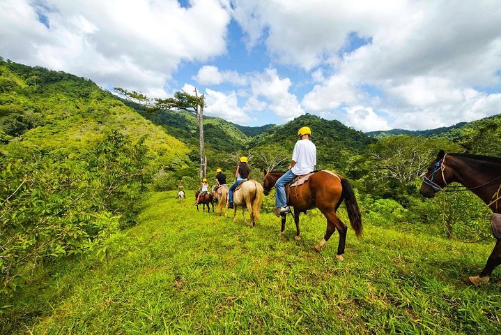 rainforest-horseback-ride