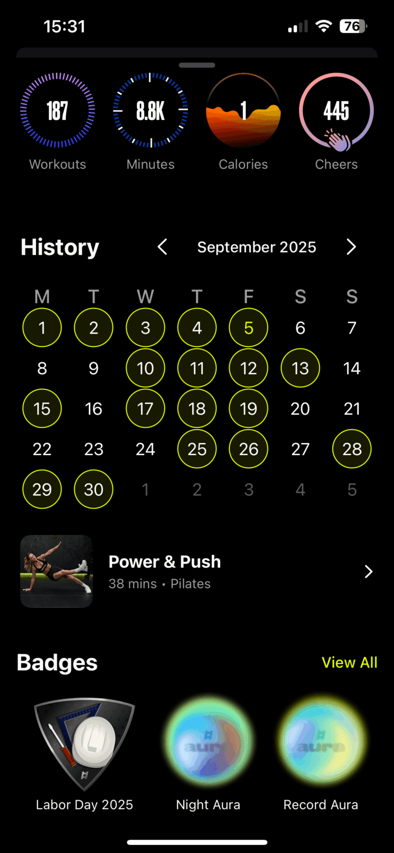 ladder-workout-app-tracking-history-min